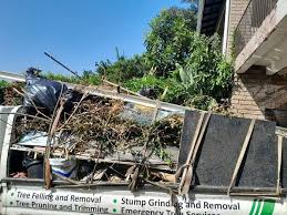 Best Demolition Debris Removal  in Kingsbury, NV